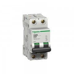 SCHNEIDER ELECTRIC C60N Circuit Breaker (2 Poles)