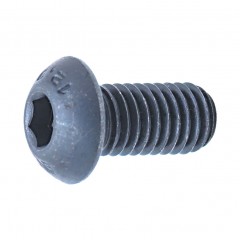 QUALFAST QFT6040198X M3X5 Skt Button Head Screw(Gr-10.9) ( 100 Units / Lot )