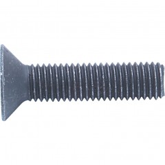 QUALFAST QFT6042024E M3X15  Skt C/Sunk Head Screw(Gr-10.9) ( 100 Units / Lot )